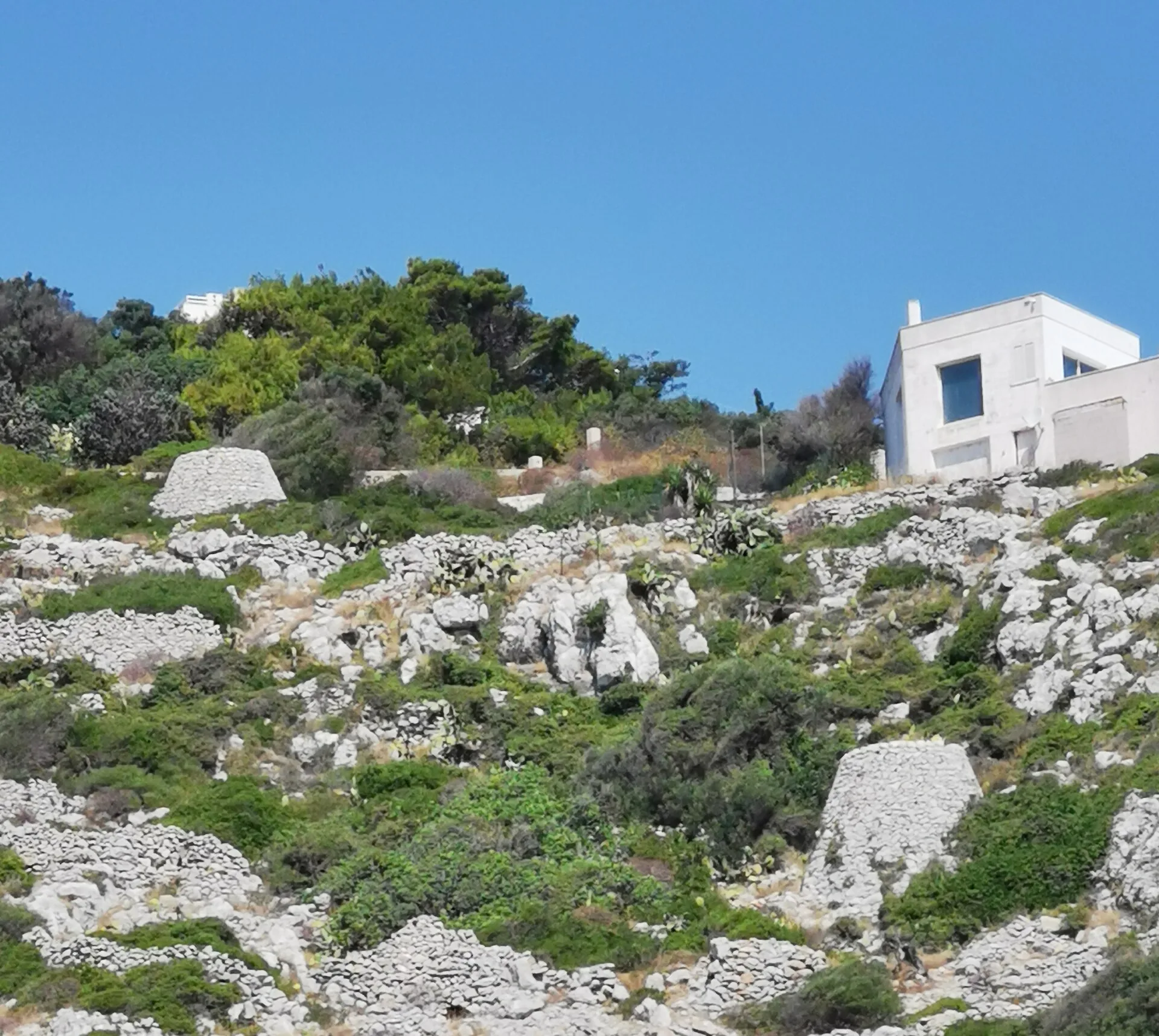 Scale scavate nella roccia che scendono al mare lungo la costa salentina